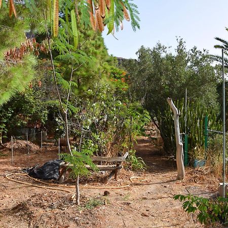 La Casa De Los Pinos Temisas Kültér fotó
