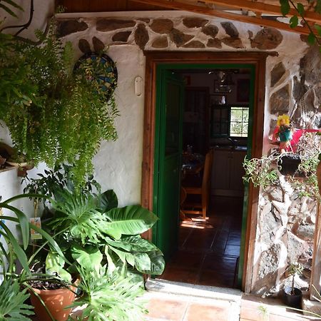 La Casa De Los Pinos Temisas Kültér fotó