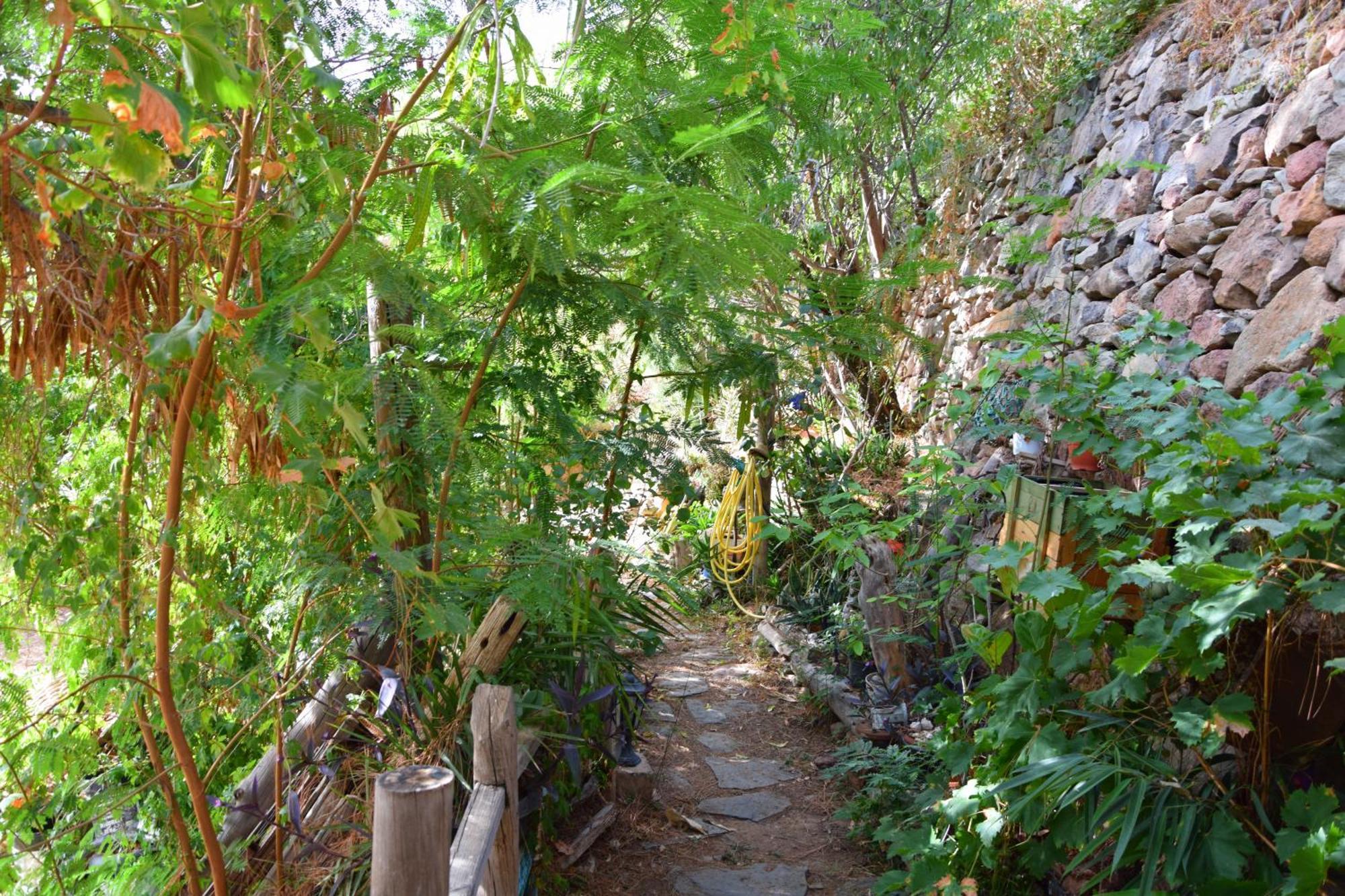 La Casa De Los Pinos Temisas Kültér fotó